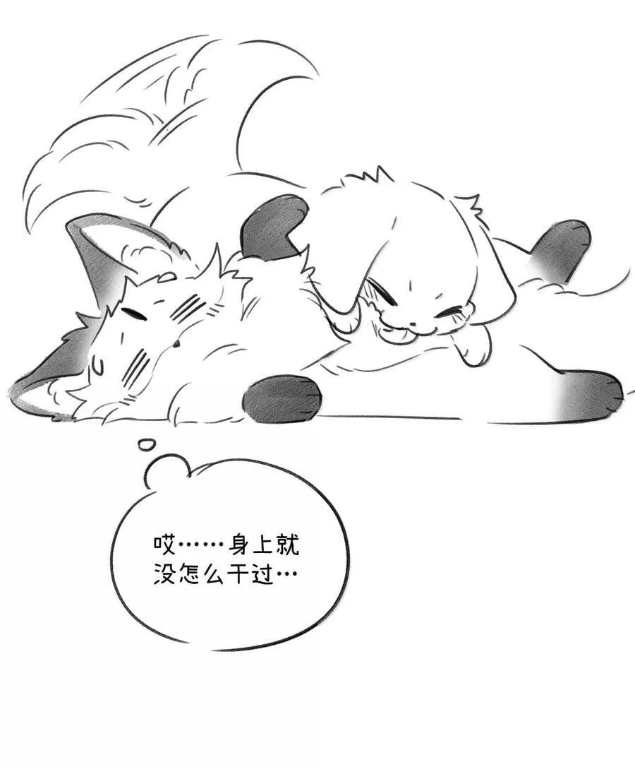 第213页