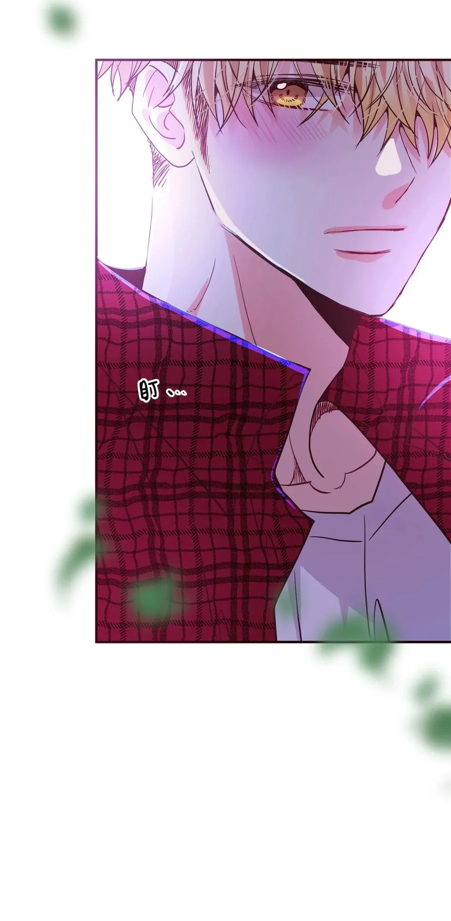 第231页