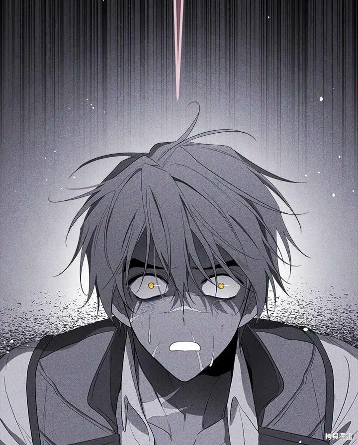 第231页