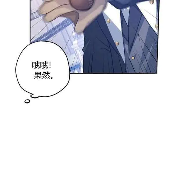 第231页