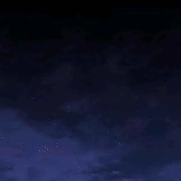 第201页