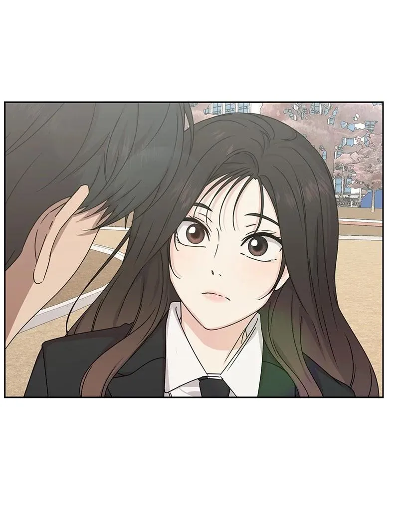 第204页