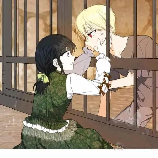 第216页