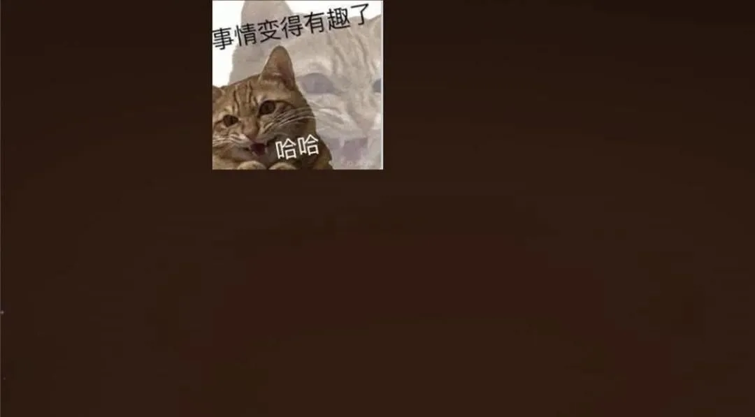 第453页