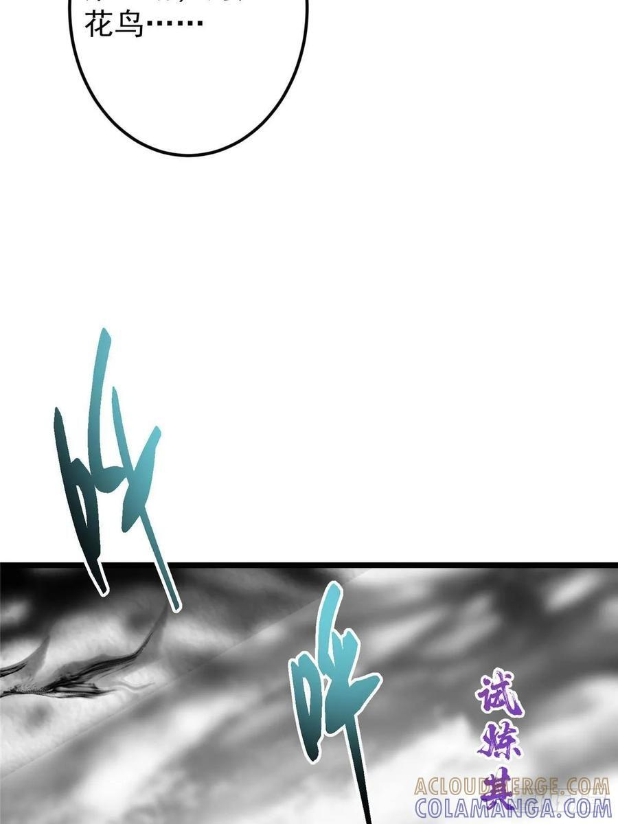 第234页
