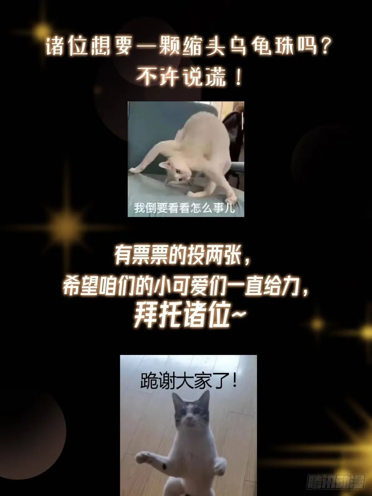 第243页