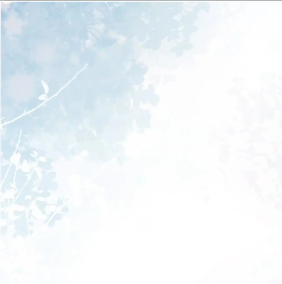 第231页