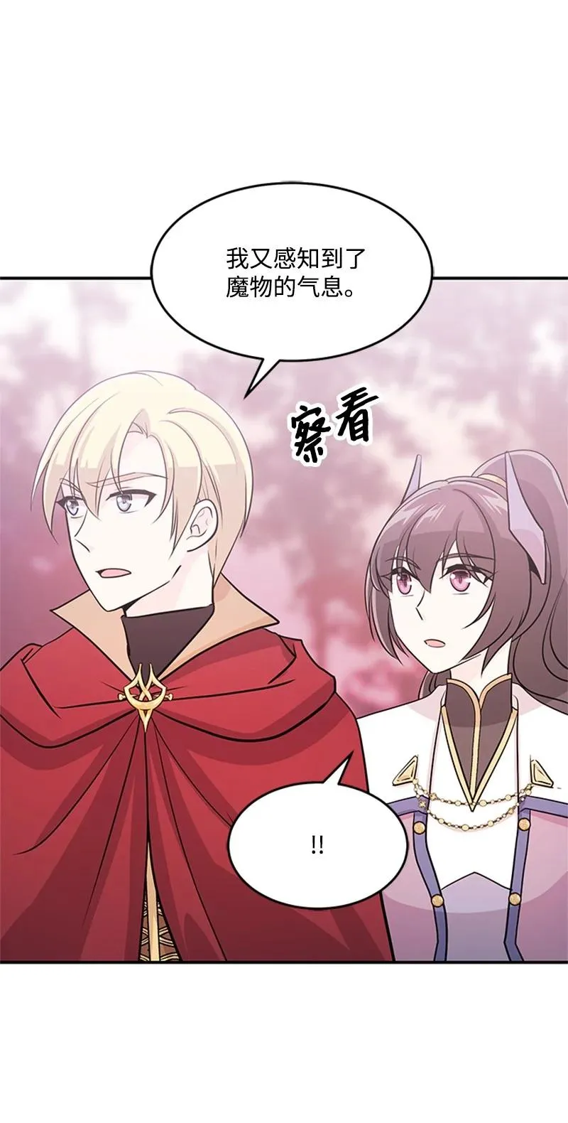 第204页