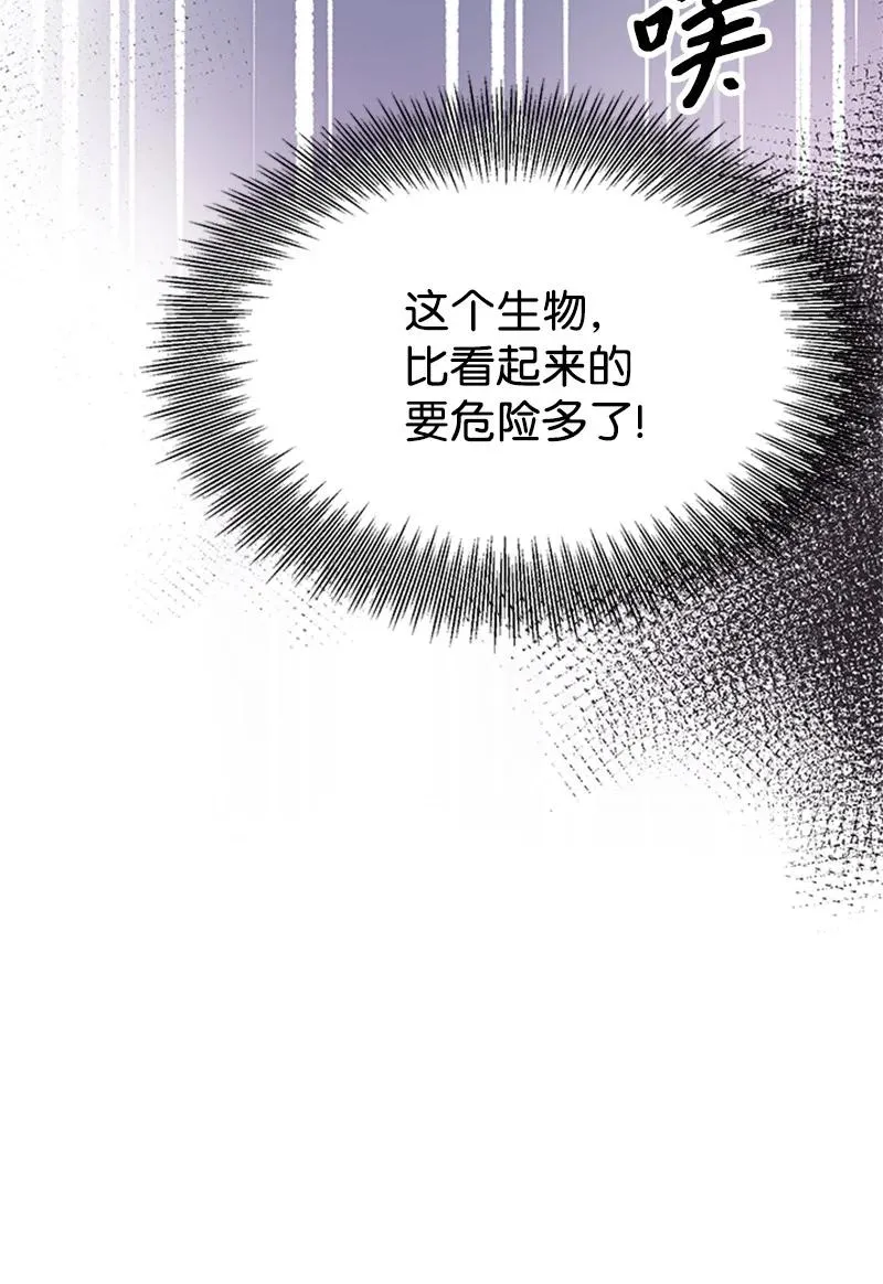第231页