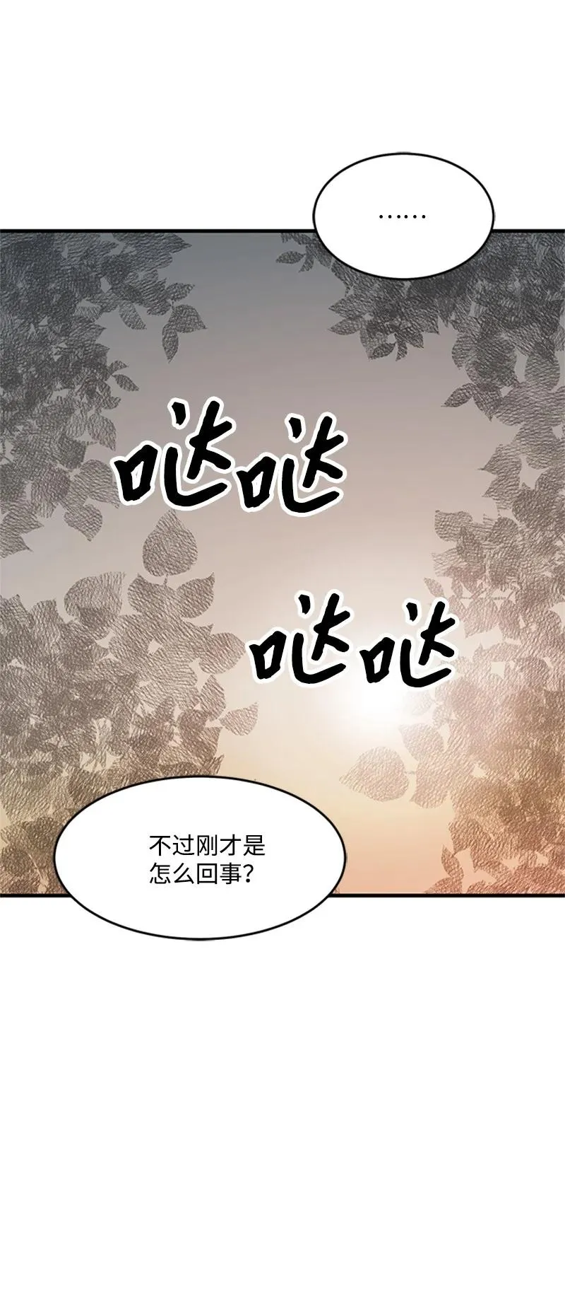 第204页