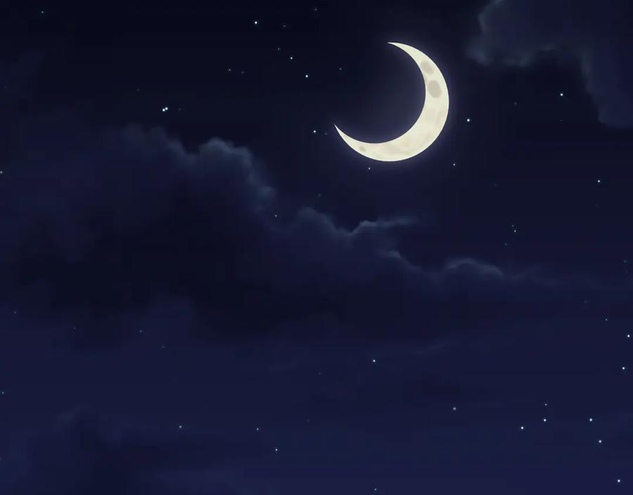 第183页