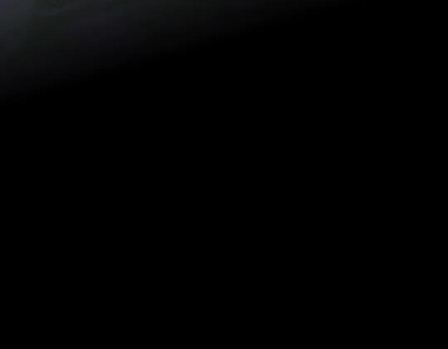 第291页