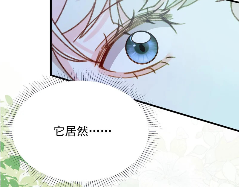 第273页