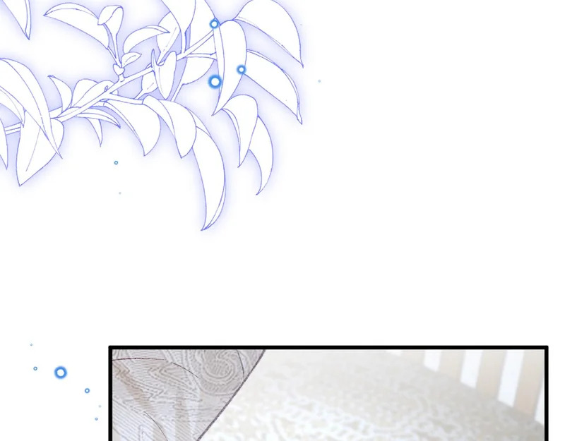 第246页