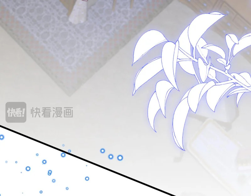 第261页