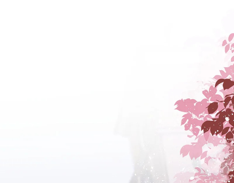 第291页