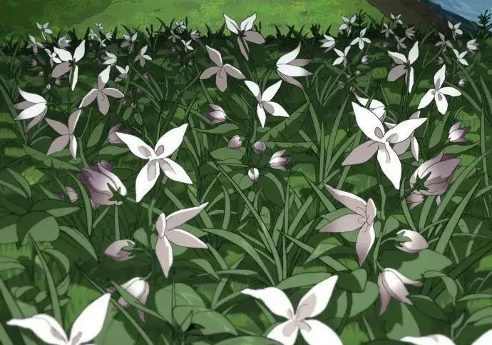 第513页
