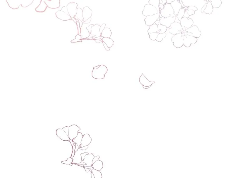 第339页