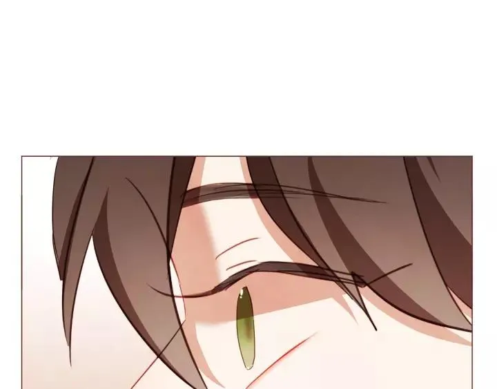 第339页