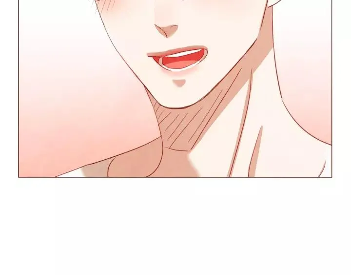 第291页