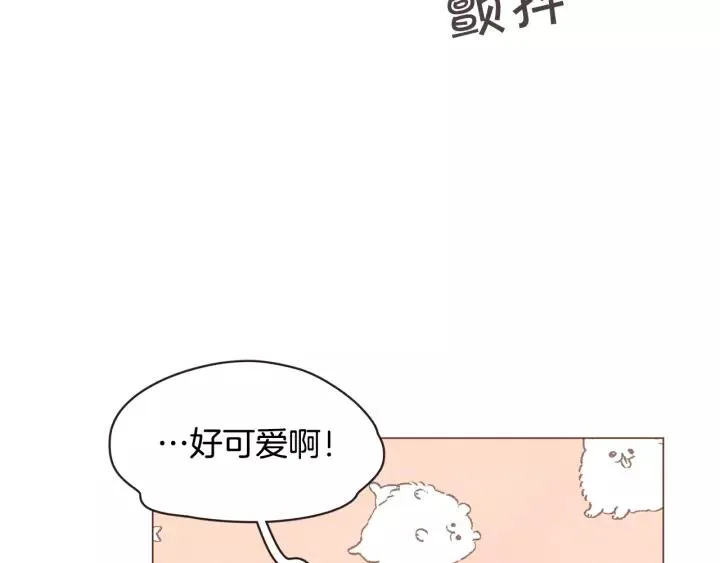 第219页