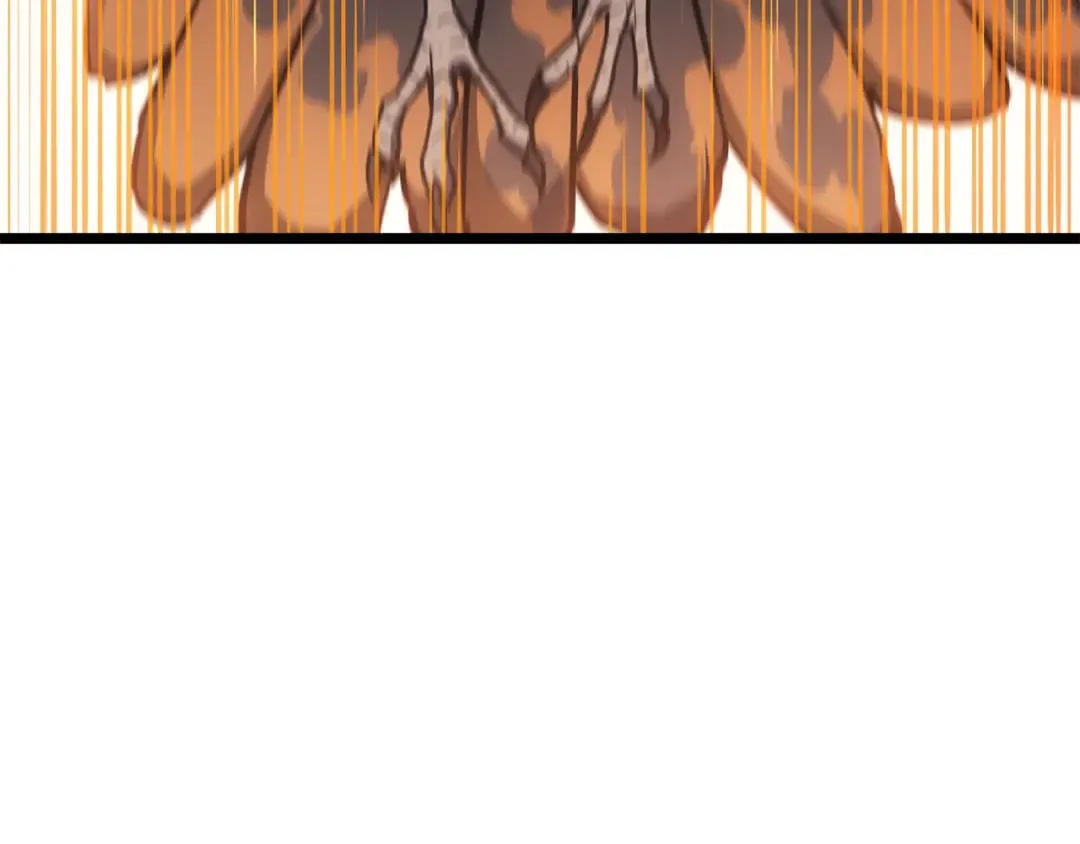 第456页