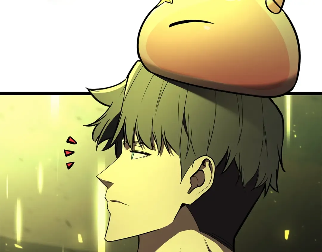 第699页