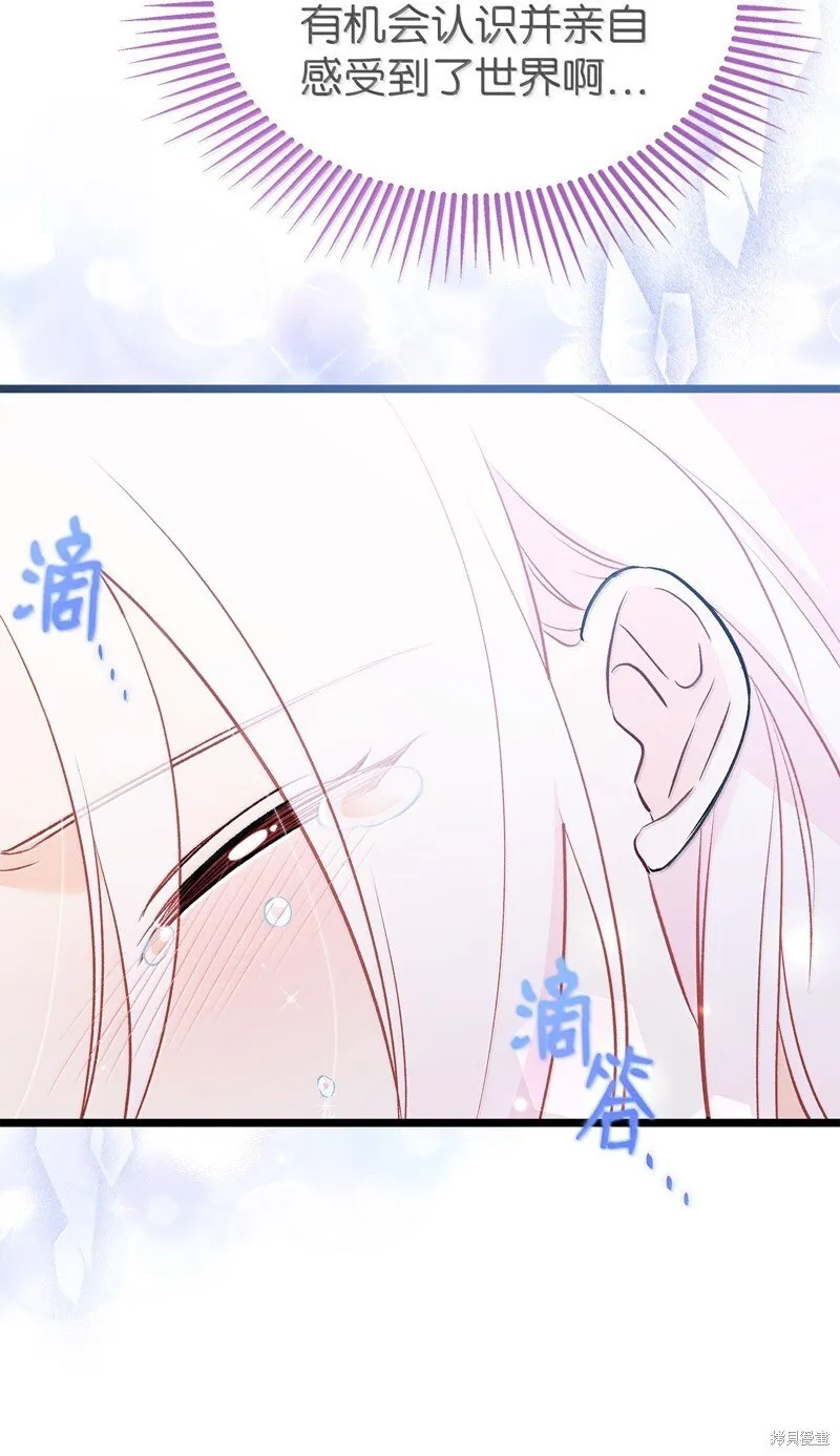 第234页