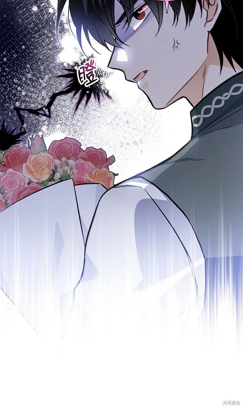 第243页