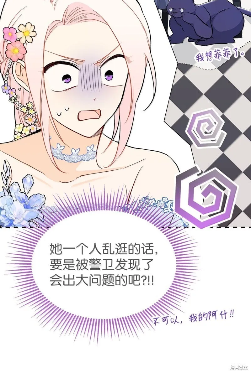 第204页