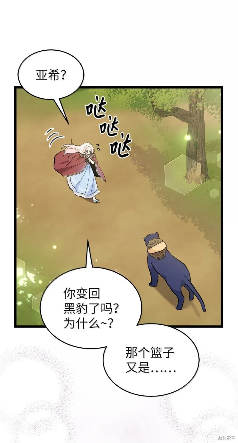 第219页