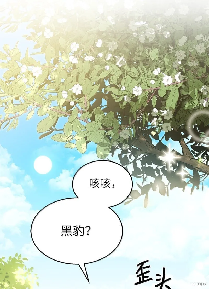 第231页