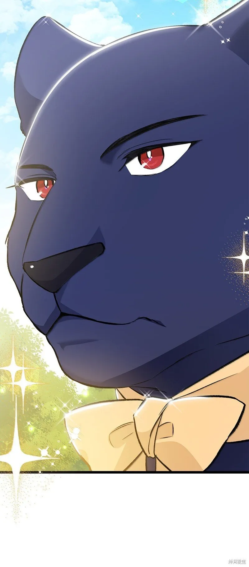 第216页