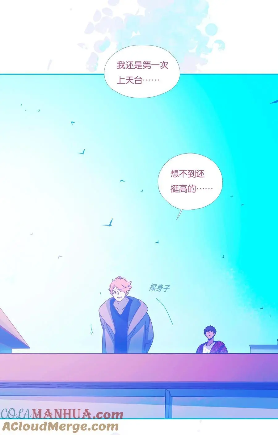第117页