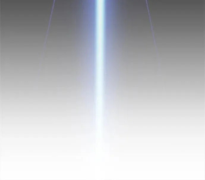 第231页