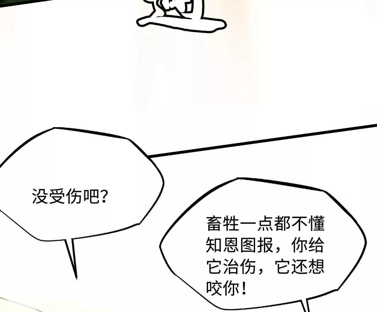 第246页