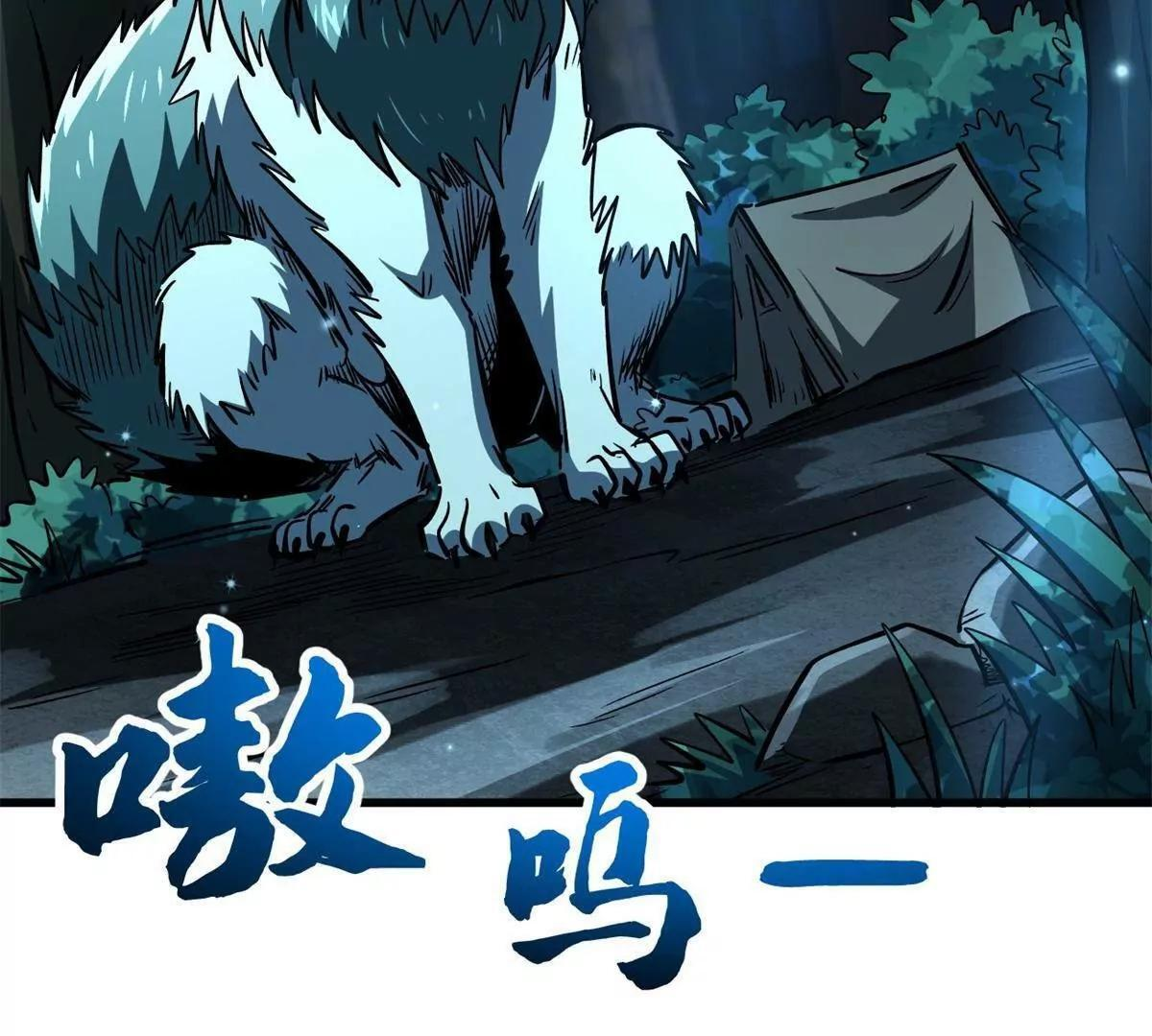 第204页