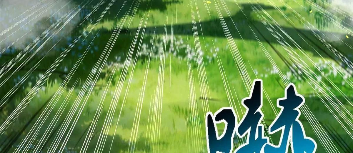 第333页
