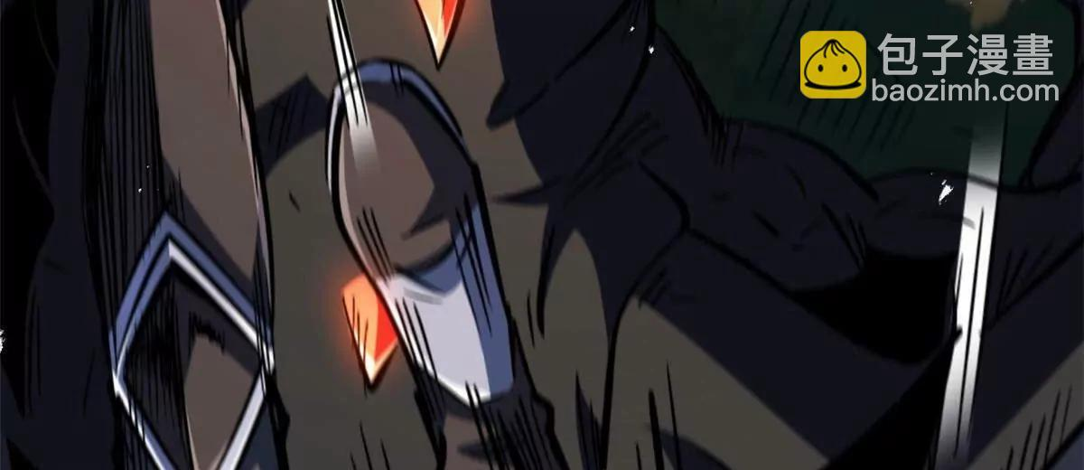 第204页