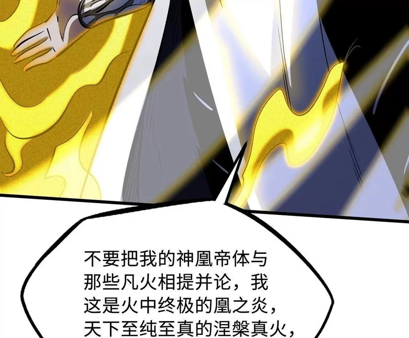 第303页