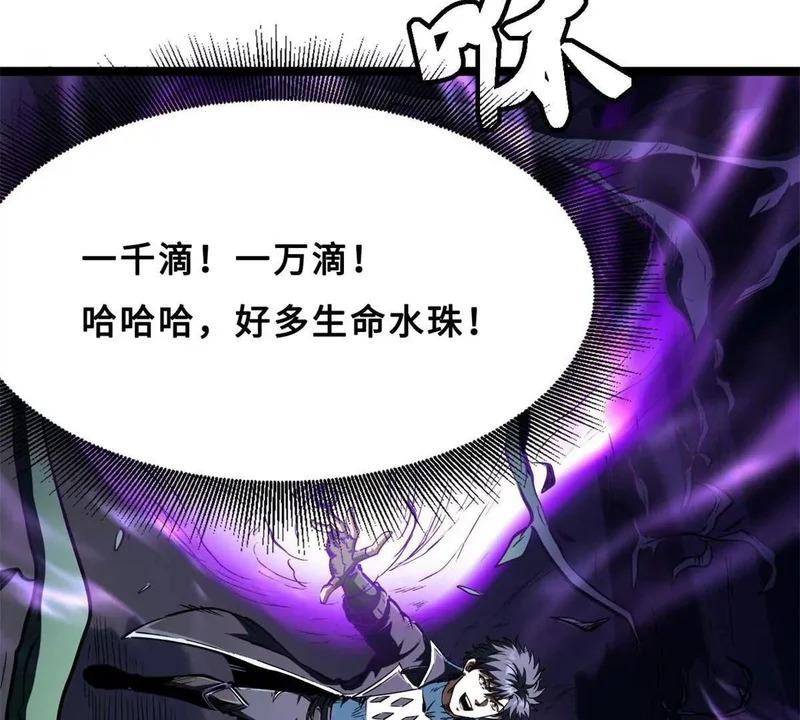 第243页