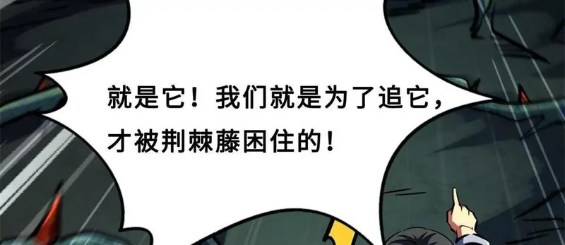 第342页