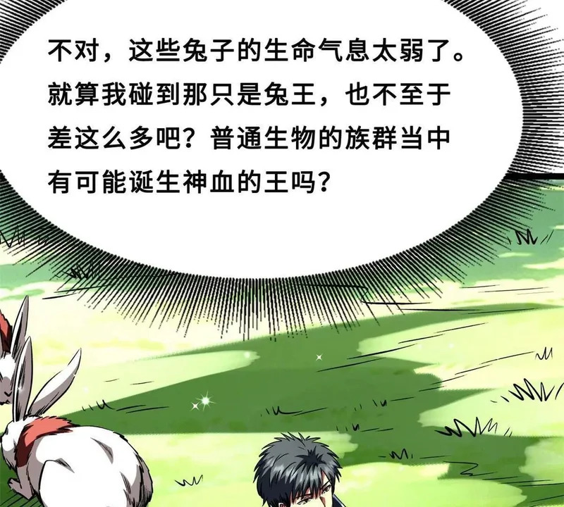 第228页