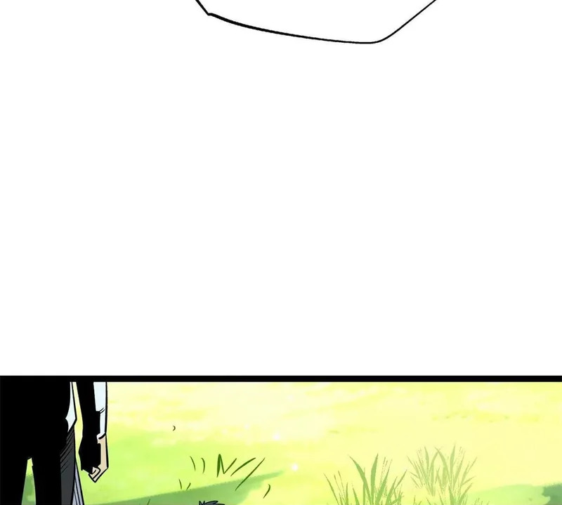 第384页