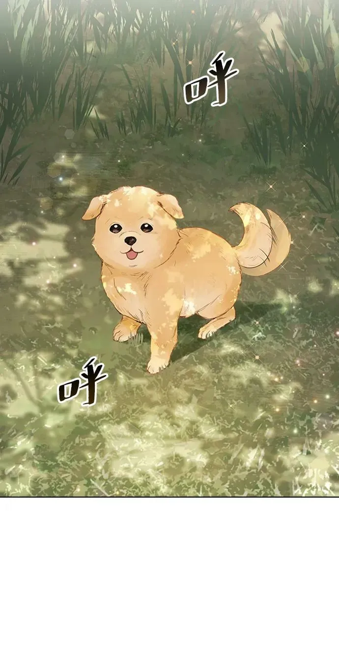 第231页