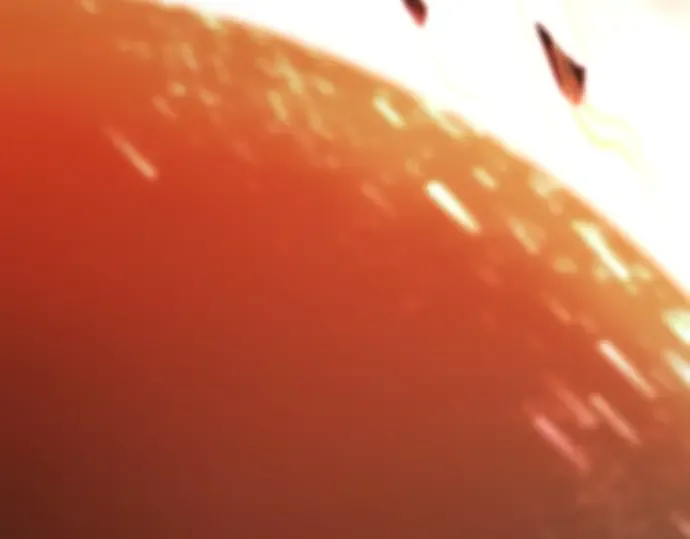 第351页