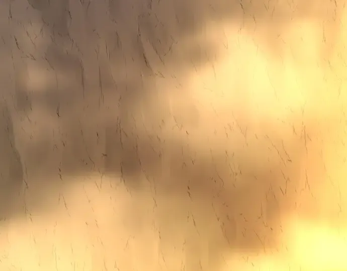 第543页