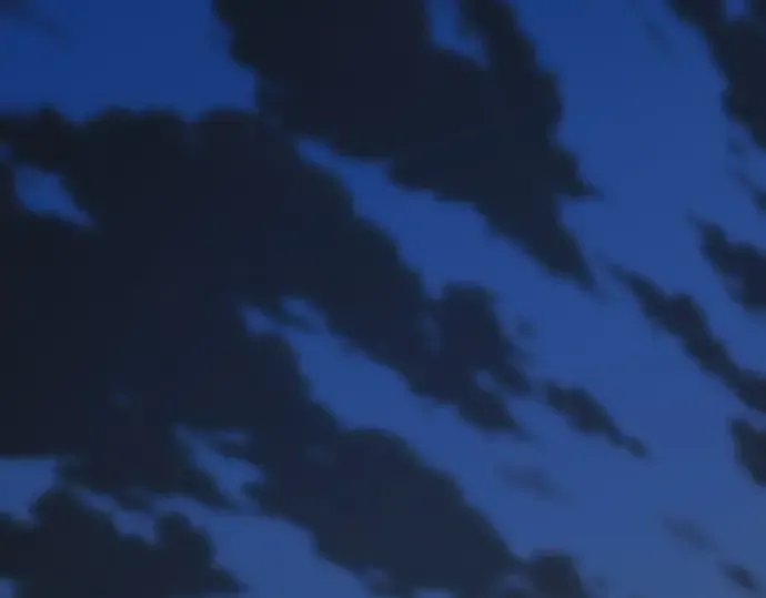 第441页