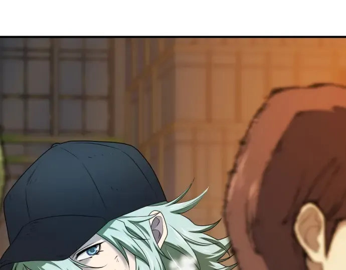 第243页