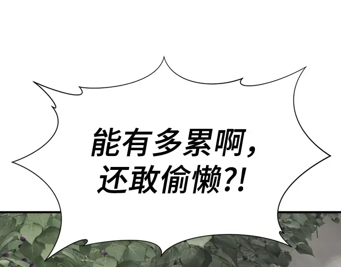 第495页